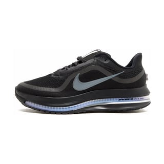 Nike Pegasus Premium 1