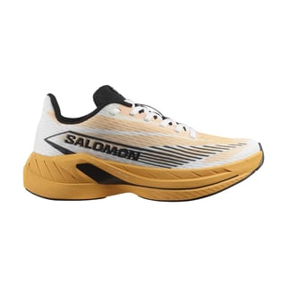 Salomon Spectur 2 running shoe